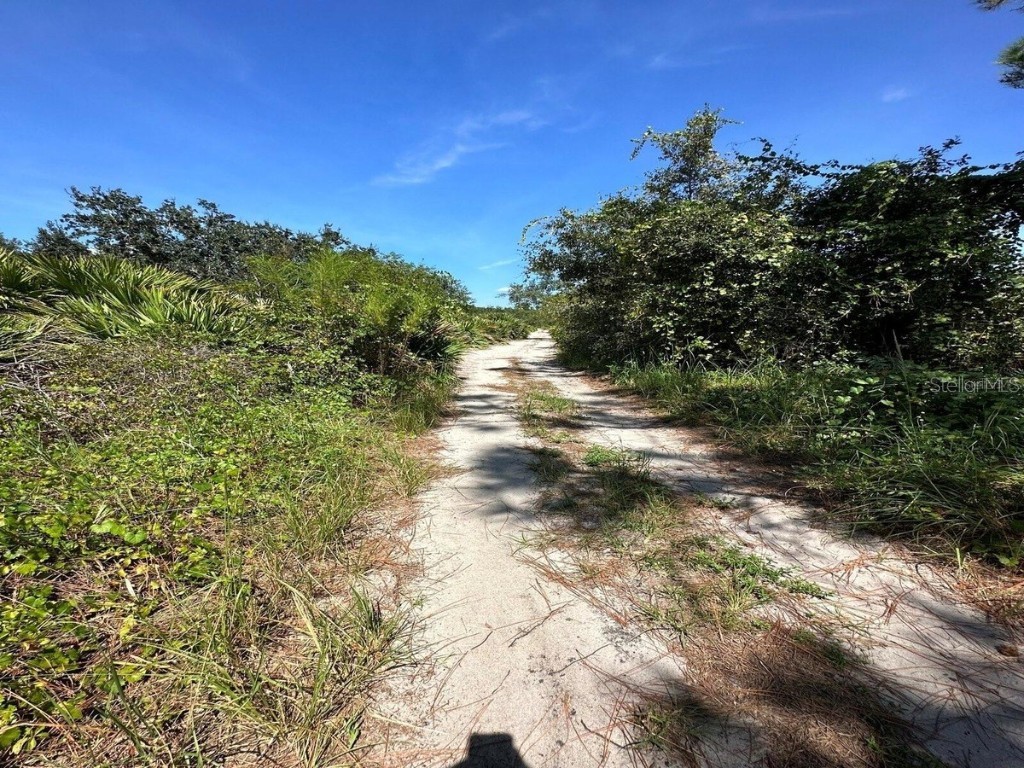 1312 & 1314 Rutledge Avenue Lake Placid FL 33852 O6279642 image1