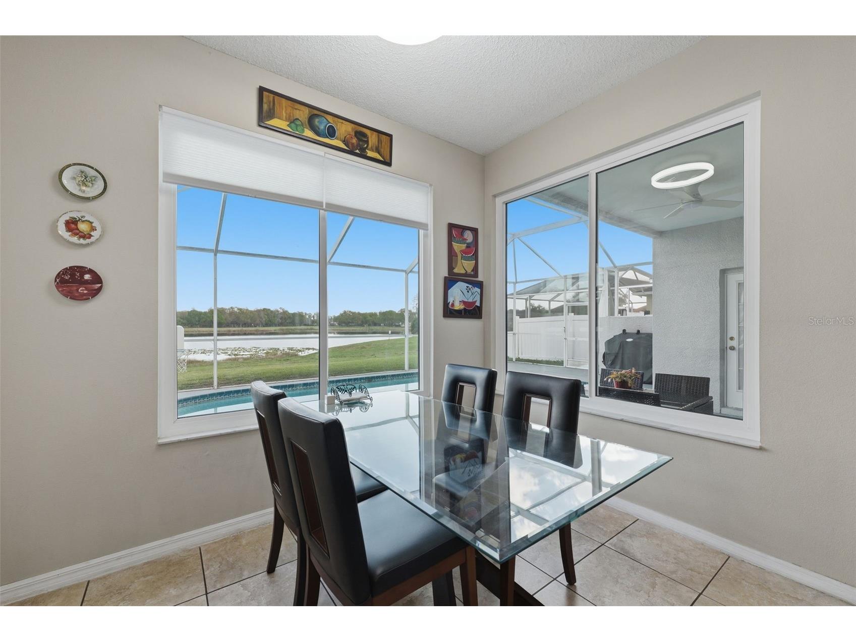 1312 Brooke View Drive Odessa FL 33556 W7883869 image27