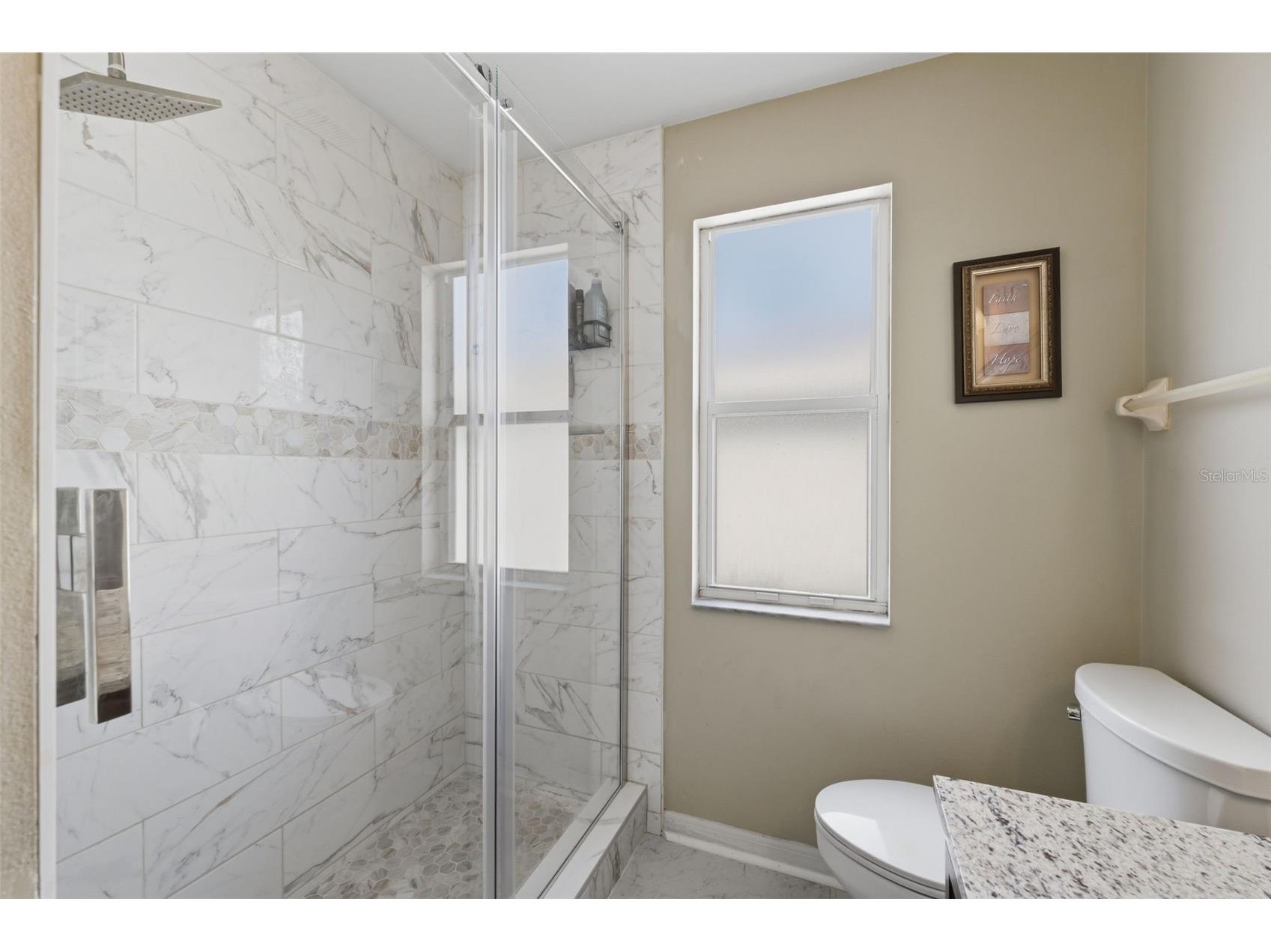 1312 Brooke View Drive Odessa FL 33556 W7883869 image49