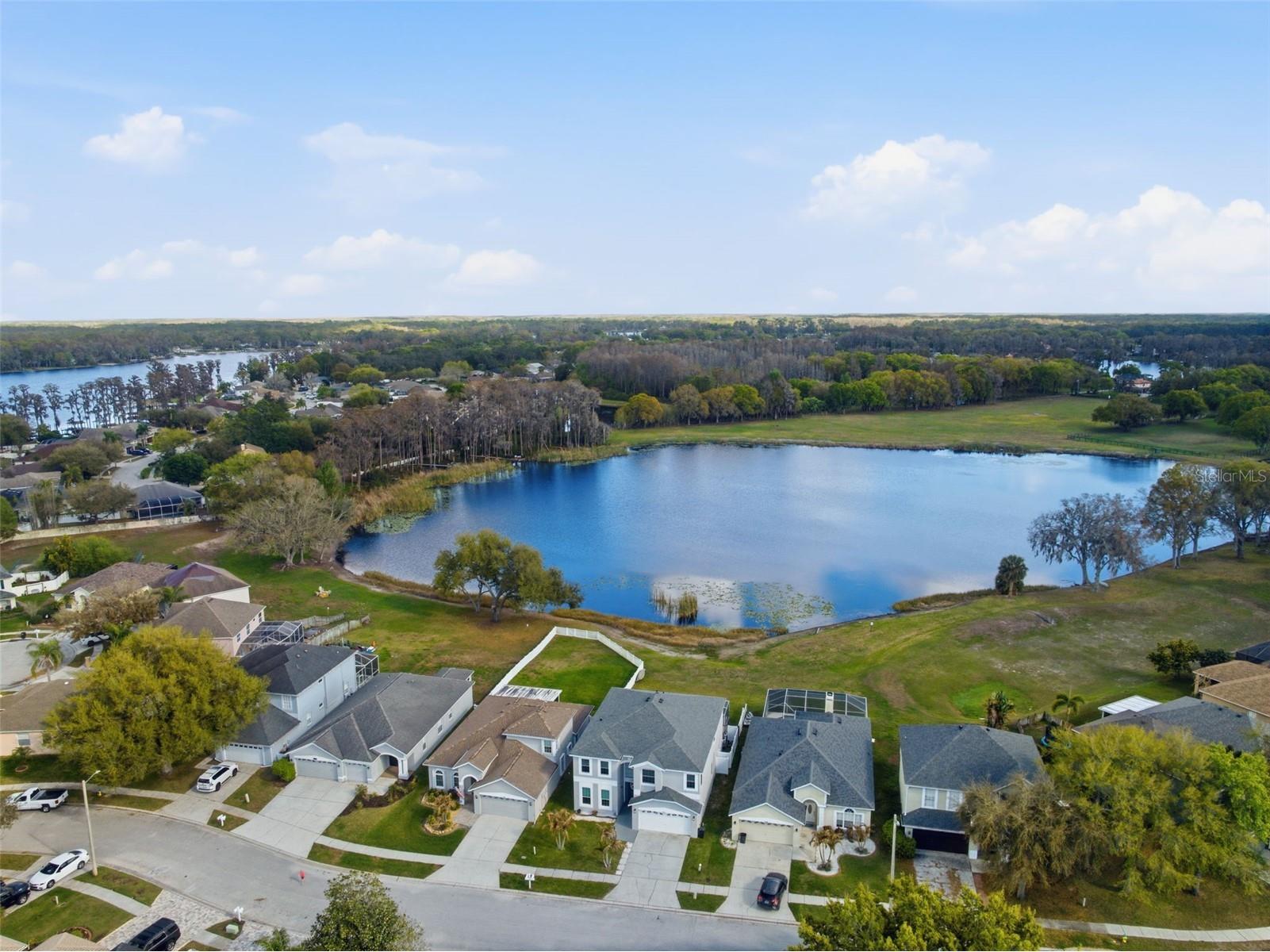 1312 Brooke View Drive Odessa FL 33556 W7883869 image75