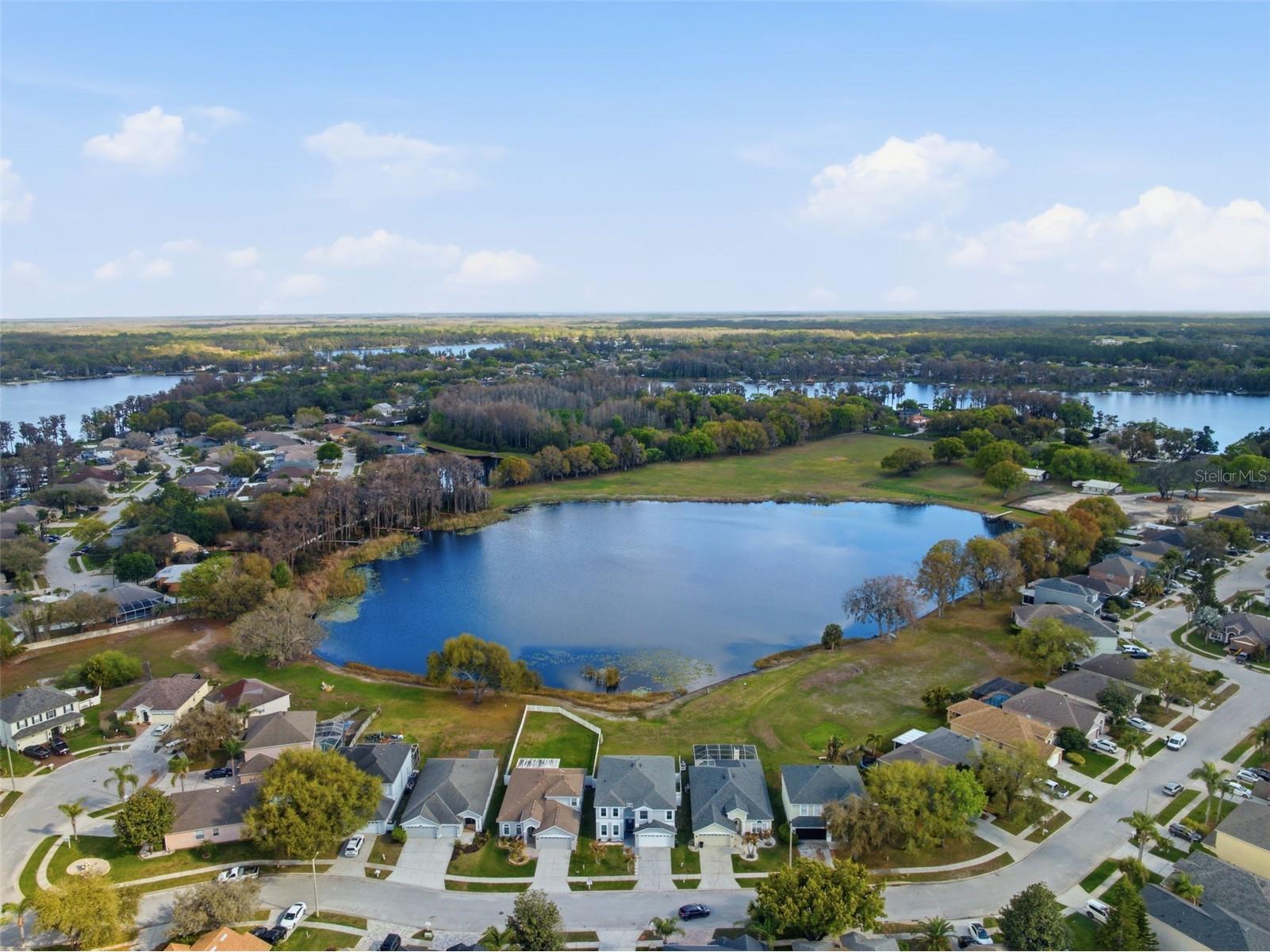 1312 Brooke View Drive Odessa FL 33556 W7883869 image76