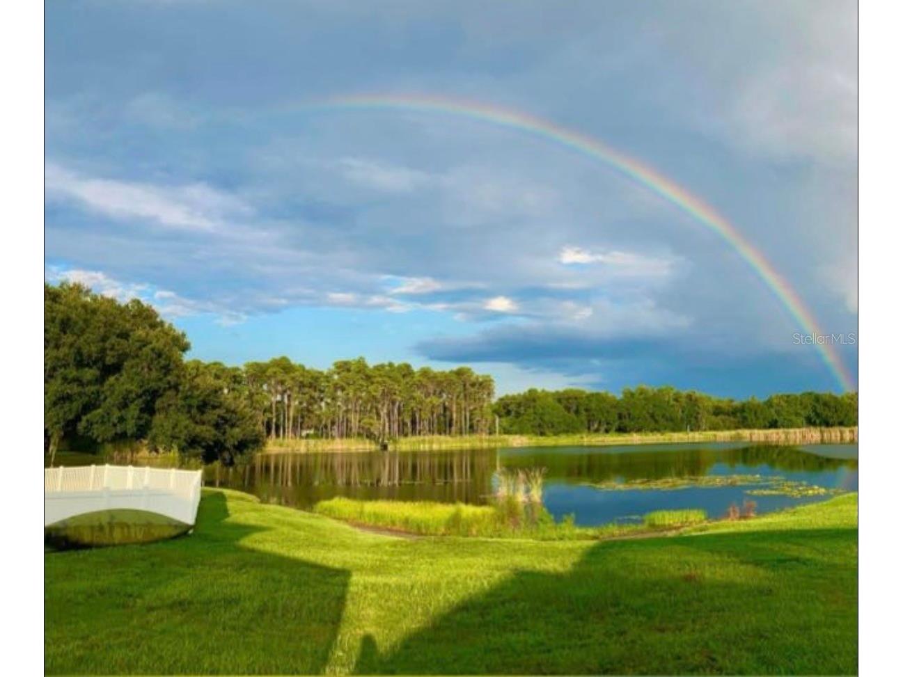 1312 Brooke View Drive Odessa FL 33556 W7883869 image9