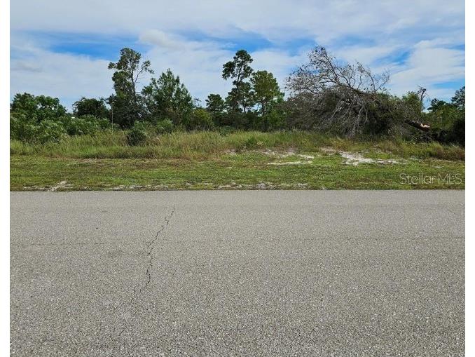 1312 Columbus Street Lake Placid FL 33852 P4937776 image1