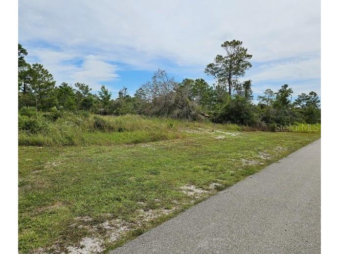 1312 Columbus Street Lake Placid FL 33852 P4937776 image2