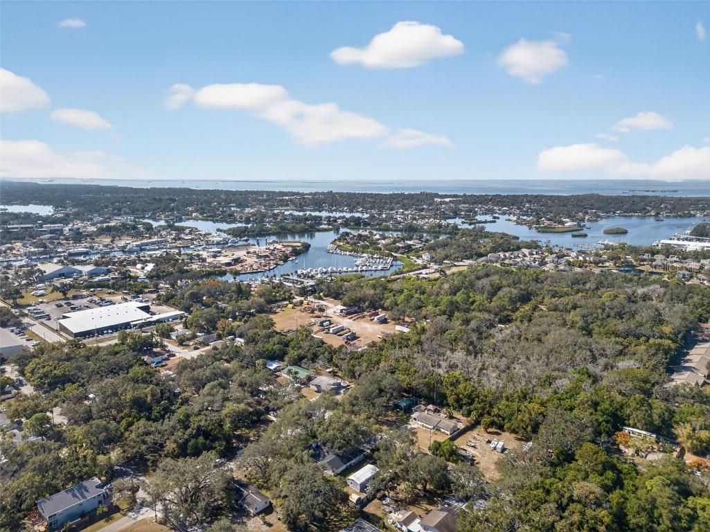 1312 Grove Avenue Tarpon Springs FL 34689 TB8448904 image56