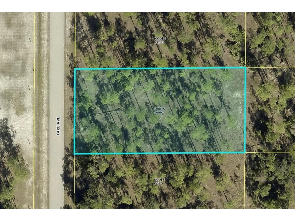 1312 Lake Avenue Lehigh Acres FL 33972 C7445823 image1