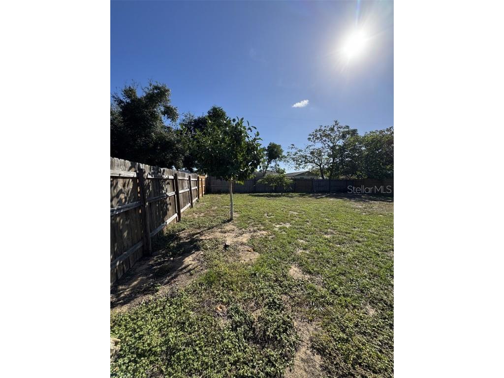 1312 North Avenue Tavares FL 32778 O6355717 image26