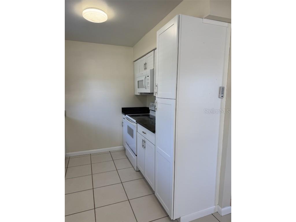 1312 North Avenue Tavares FL 32778 O6355717 image6