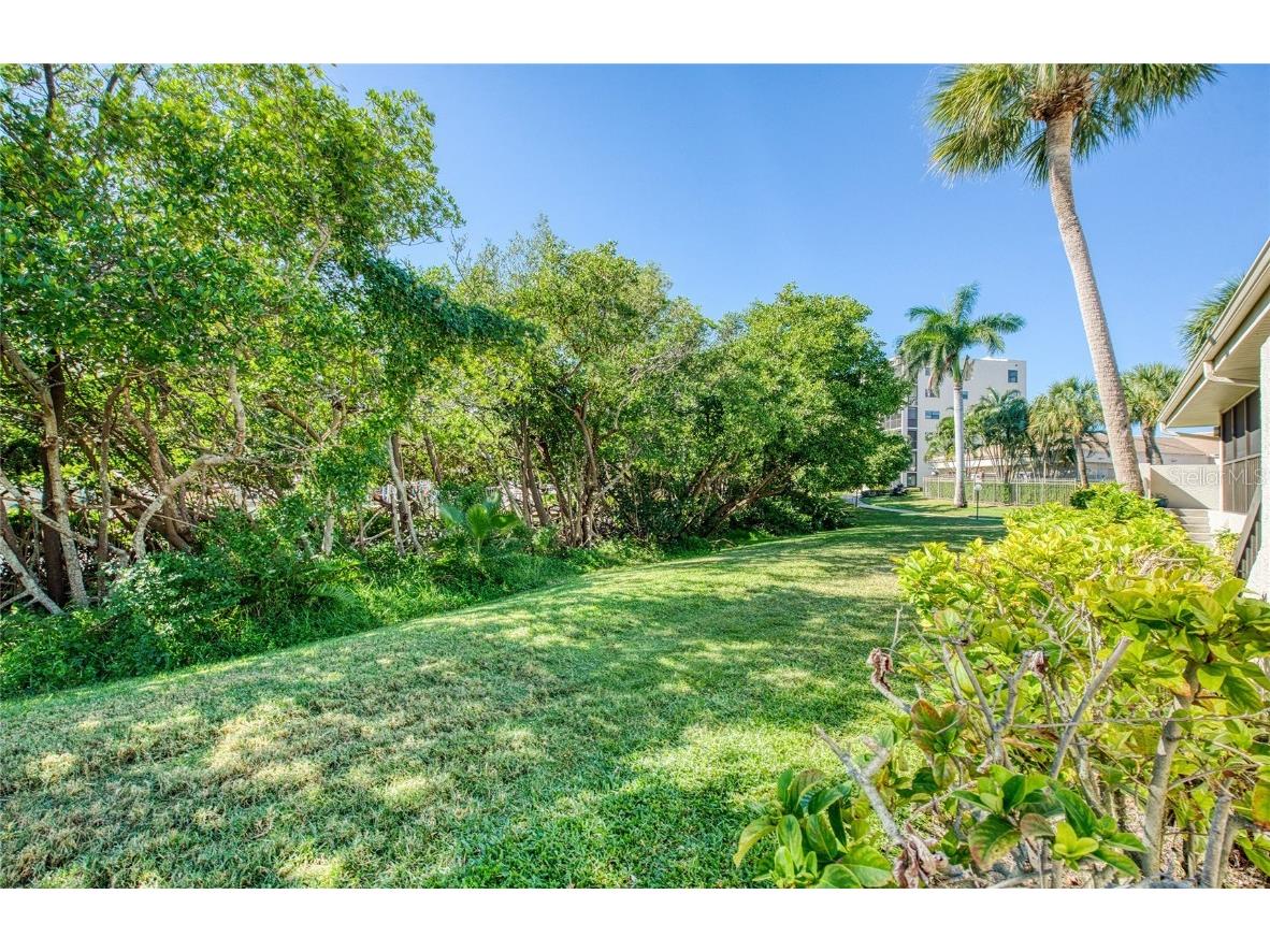 1312 Pasadena Avenue S #14 South Pasadena FL 33707 TB8441844 image45