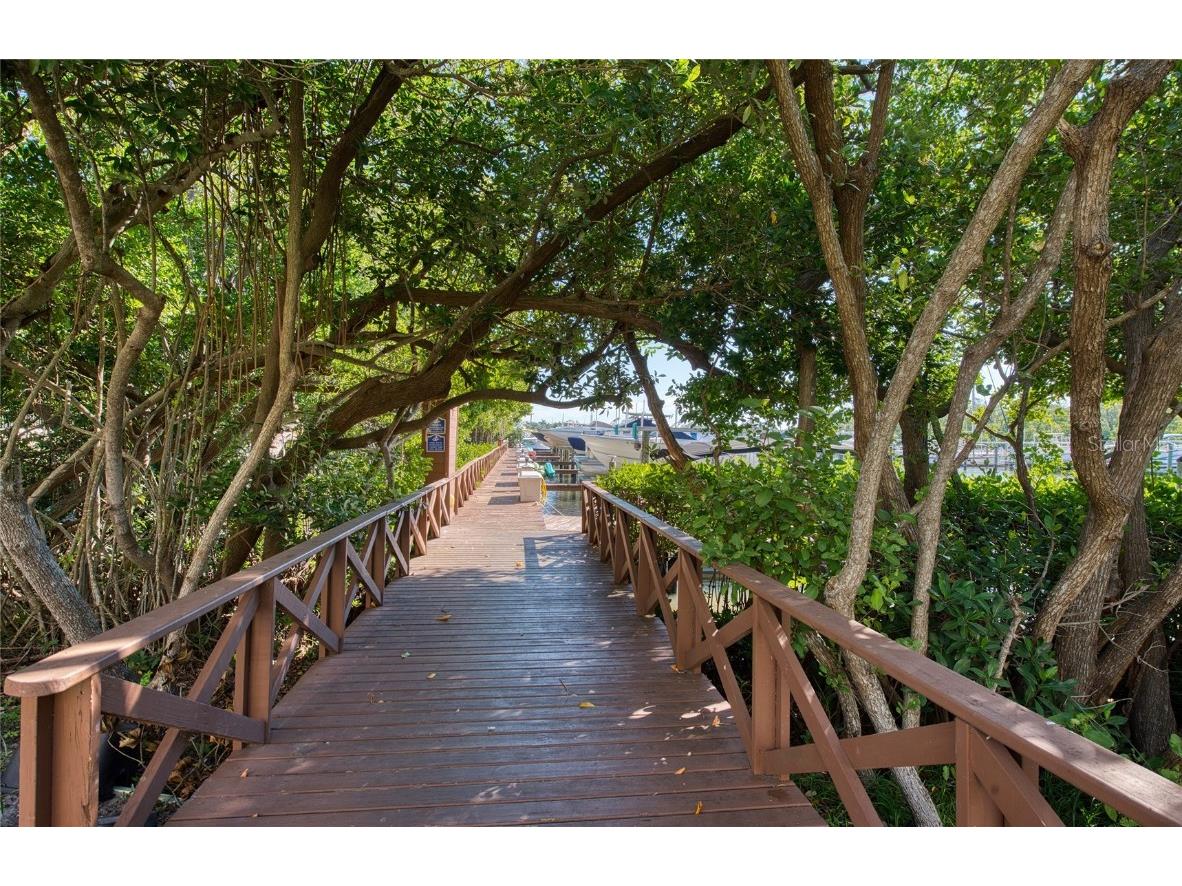 1312 Pasadena Avenue S #14 South Pasadena FL 33707 TB8441844 image68