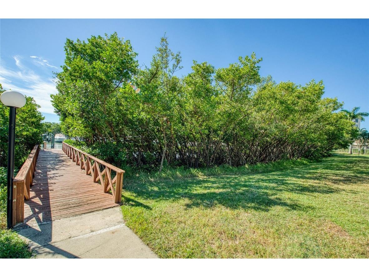 1312 Pasadena Avenue S #14 South Pasadena FL 33707 TB8441844 image72