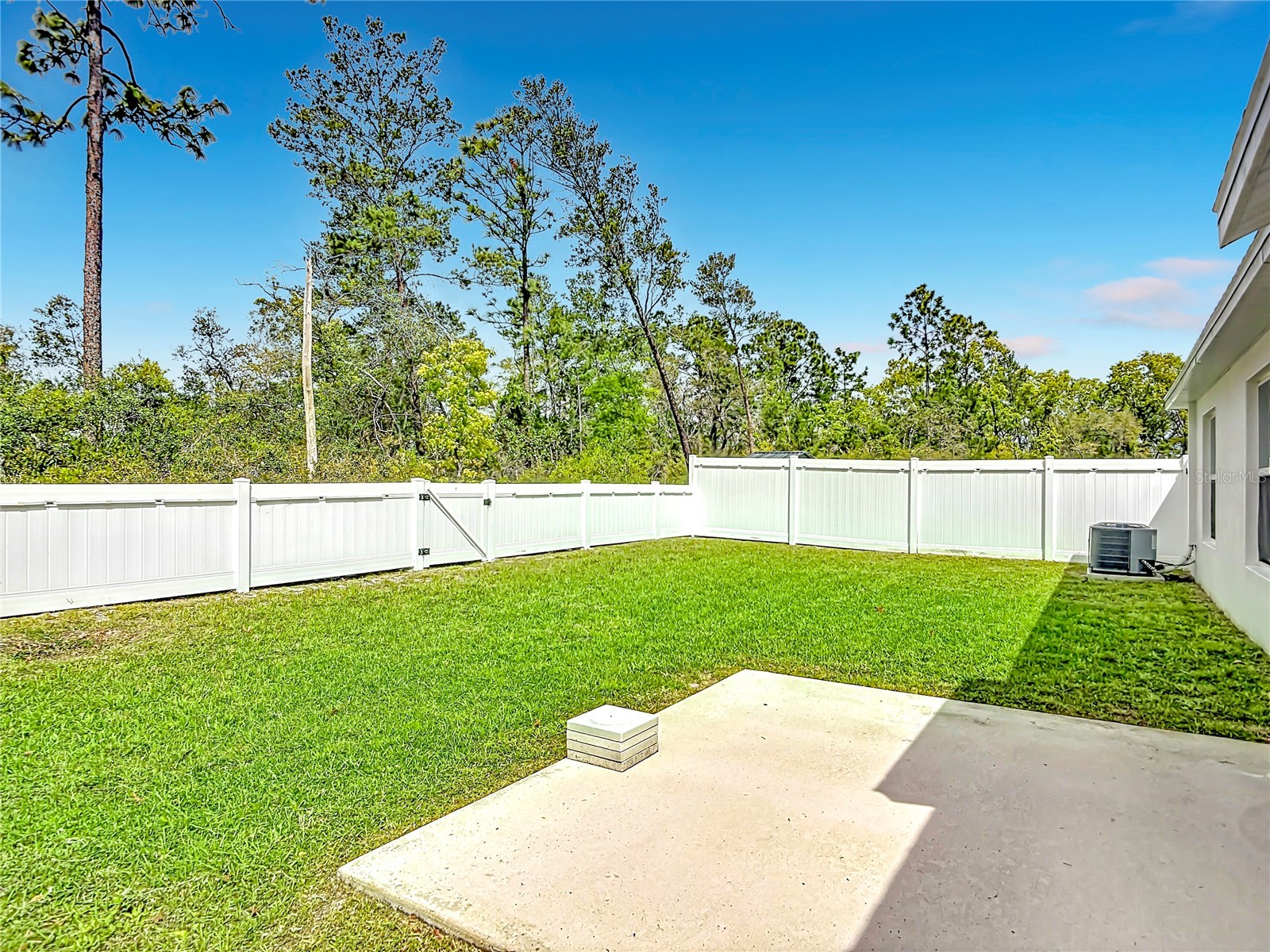 1312 Peach Creek Drive Osteen FL 32764 O6395974 image47