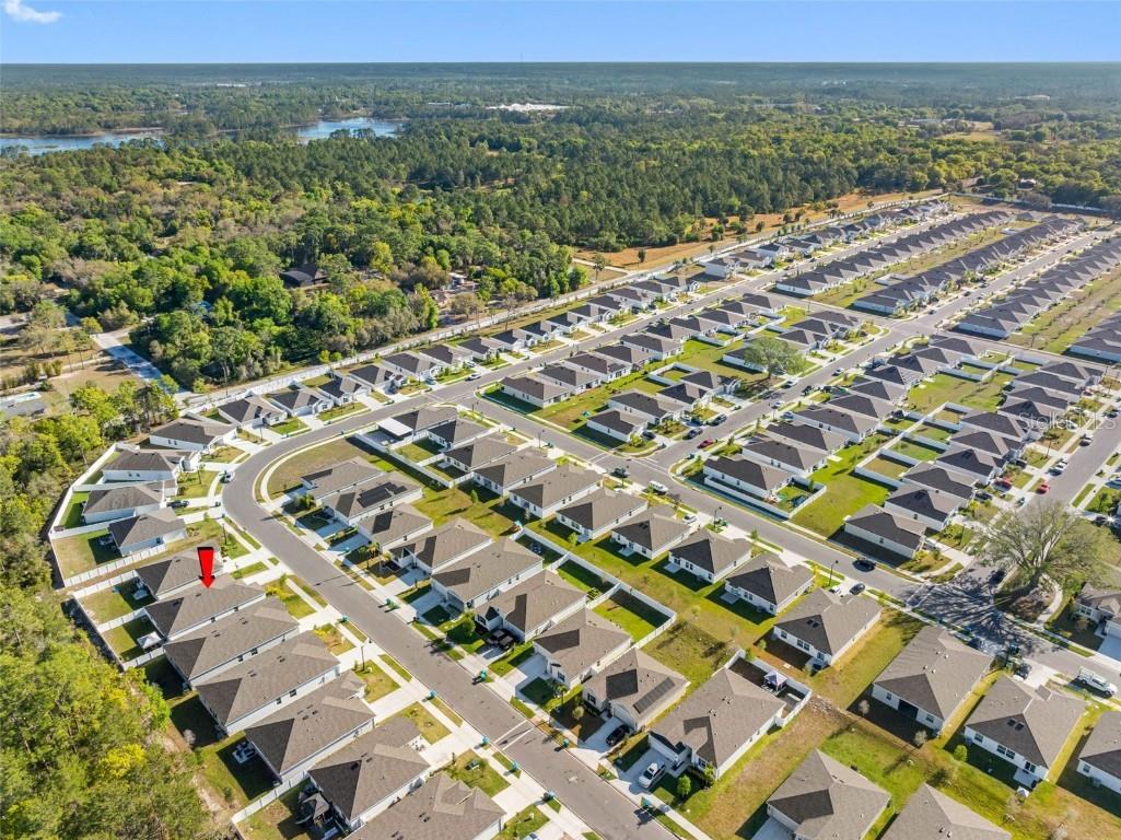1312 Peach Creek Drive Osteen FL 32764 TB8369059 image12