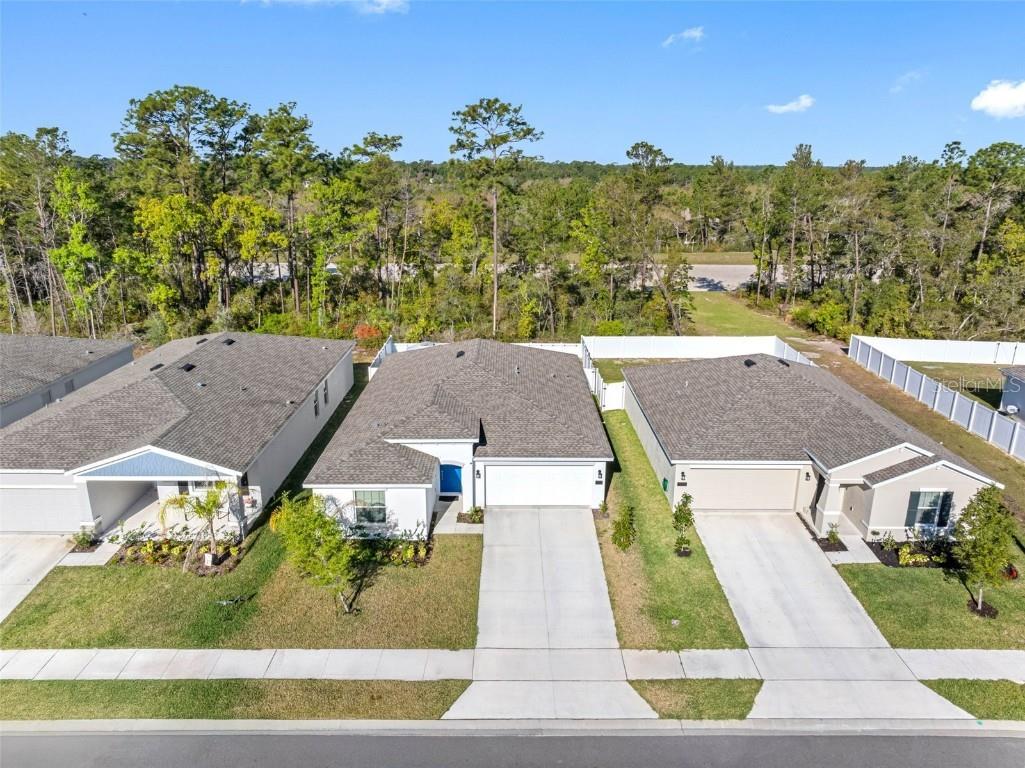 1312 Peach Creek Drive Osteen FL 32764 TB8369059 image4