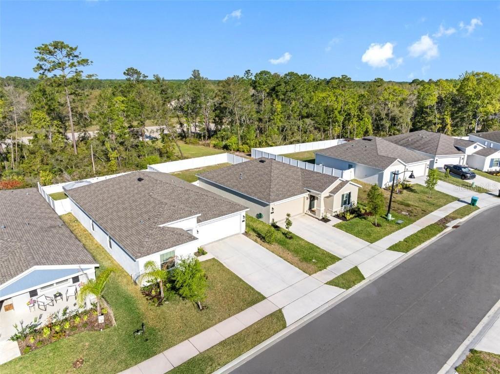 1312 Peach Creek Drive Osteen FL 32764 TB8369059 image5