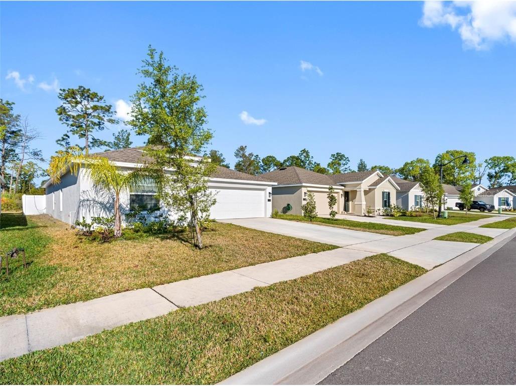 1312 Peach Creek Drive Osteen FL 32764 TB8369059 image63