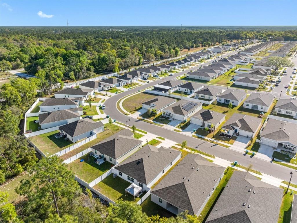 1312 Peach Creek Drive Osteen FL 32764 TB8369059 image7