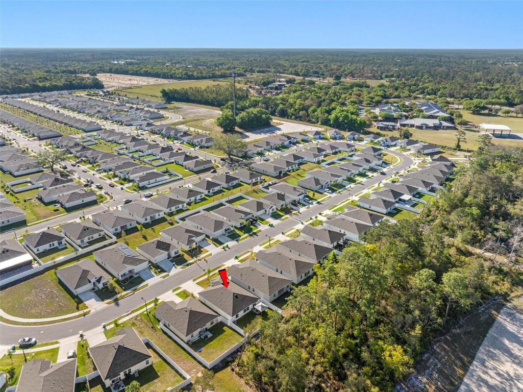1312 Peach Creek Drive Osteen FL 32764 TB8369059 image9