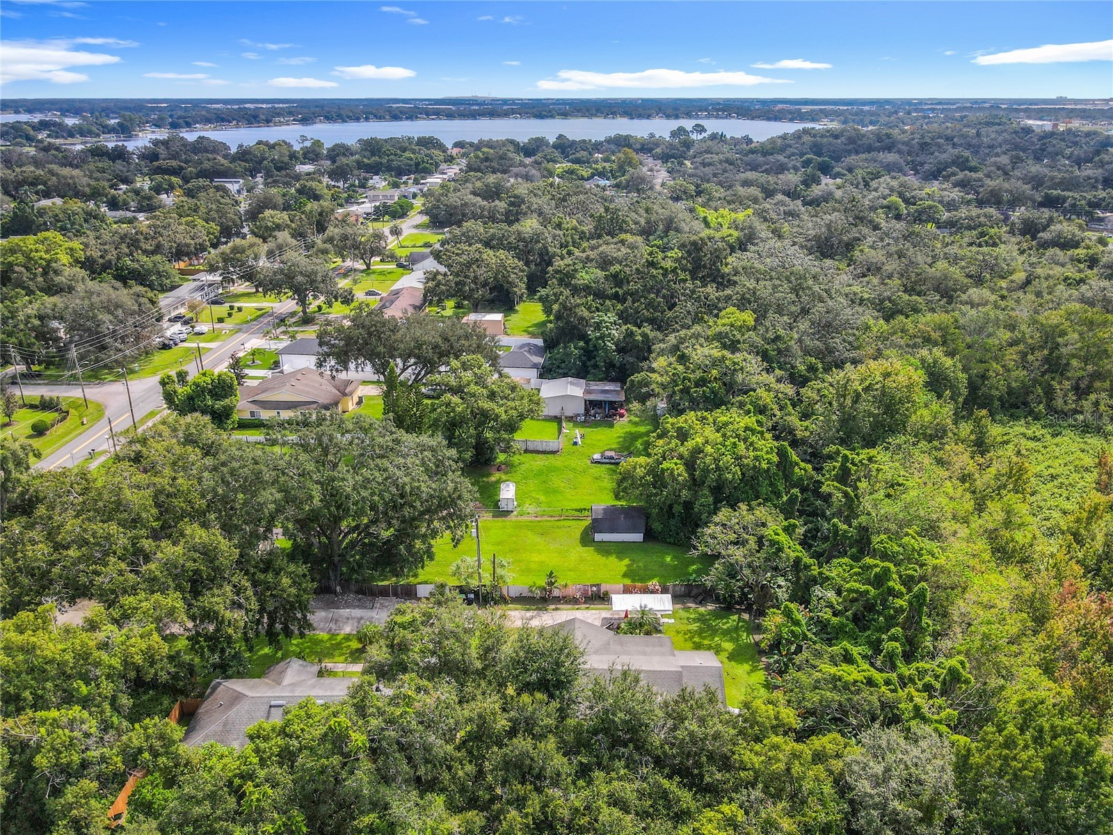 1312 Perkins Road Orlando FL 32809 - CONWAY CHAIN OF LAKES O6346161 image87