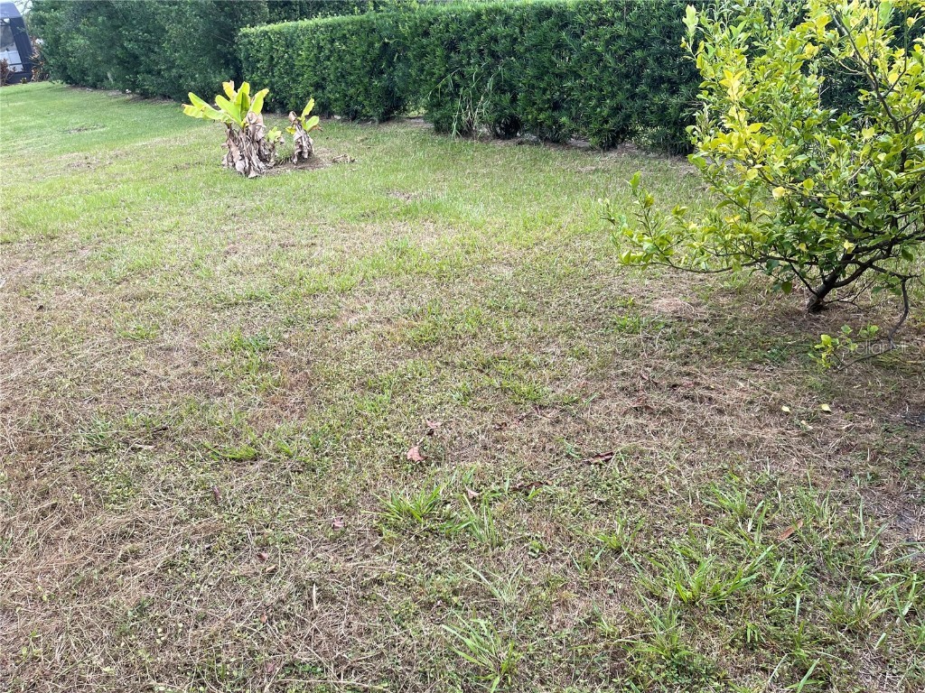 1312 Ralph Poe Drive Apopka FL 32703 O6350653 image14