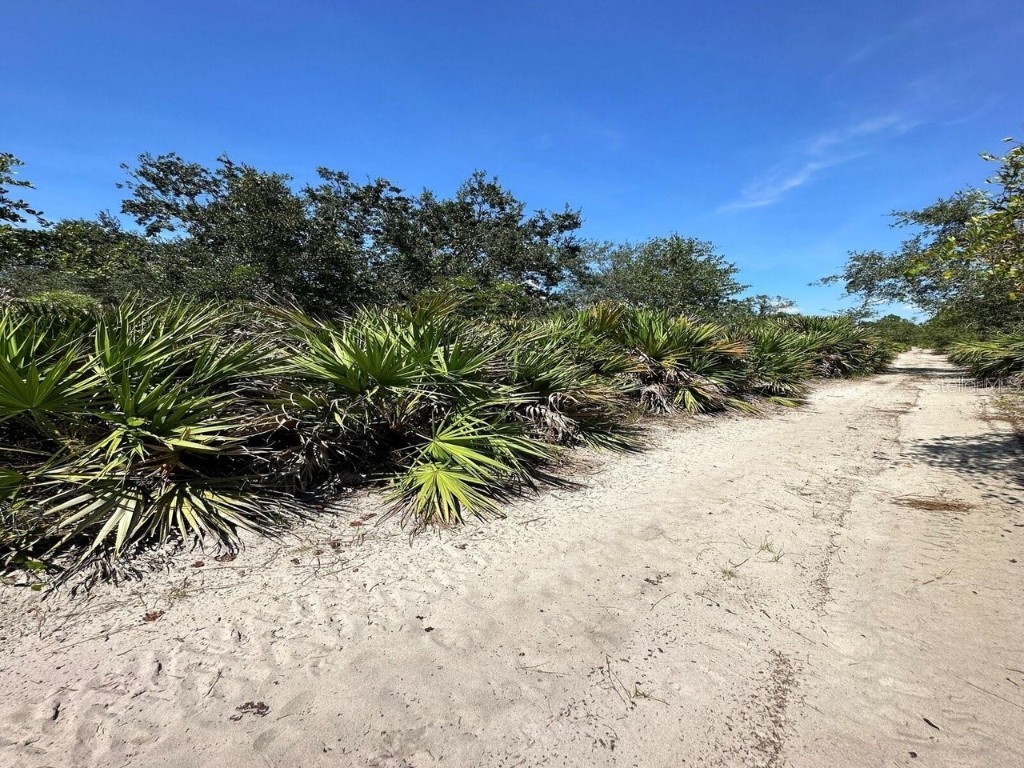 1312 Rutledge Avenue Lake Placid FL 33852 O6279632 image1