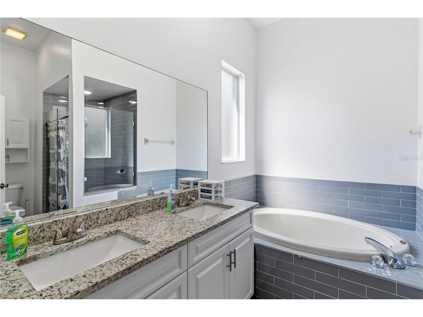 1312 Vinetree Drive Brandon FL 33510 TB8490164 image16