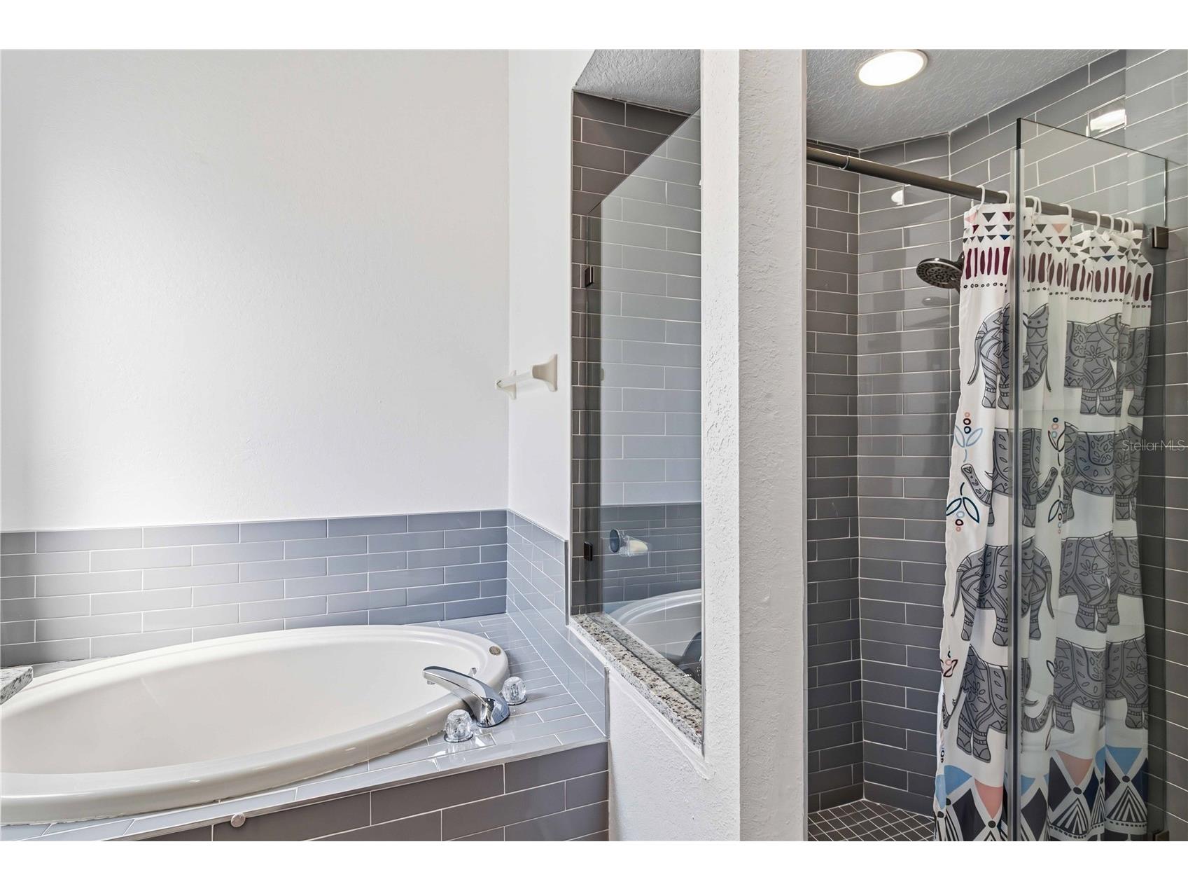 1312 Vinetree Drive Brandon FL 33510 TB8490164 image17