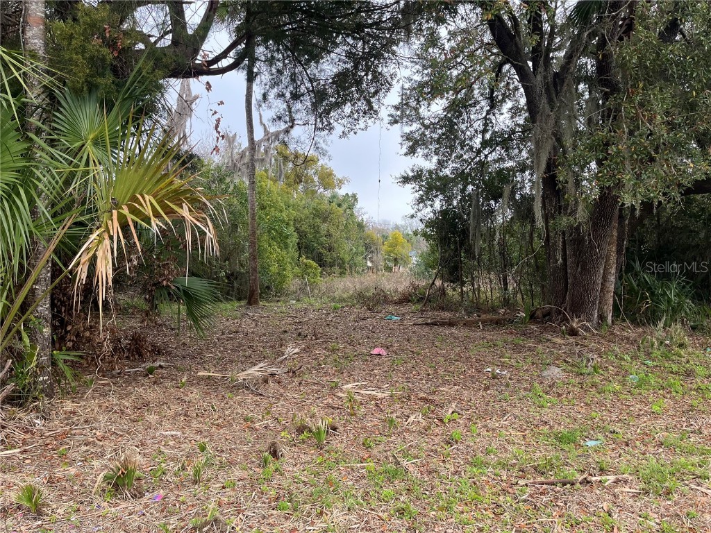 1312 Washington Street Palatka FL 32177 OK225308 image1