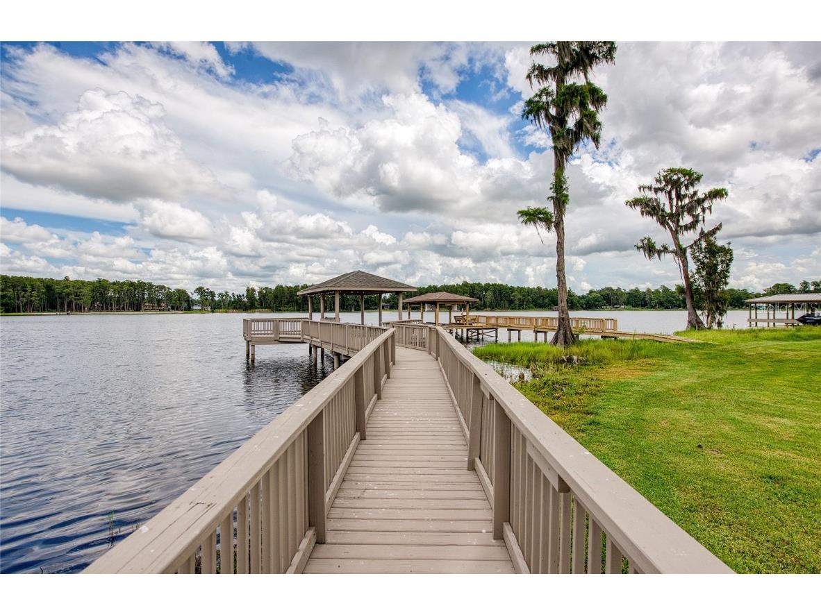 1312 Wyndham Lakes Drive Odessa FL 33556 - LAKE ANN TB8421618 image17