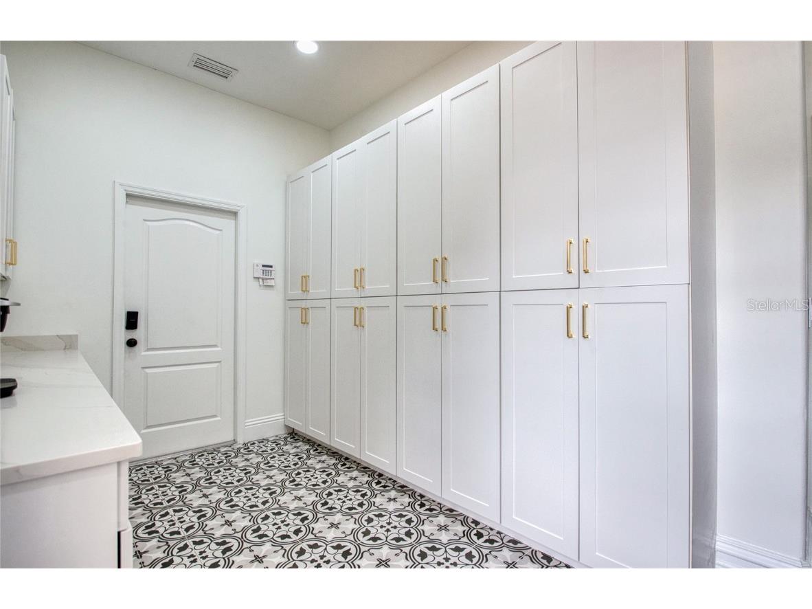 1312 Wyndham Lakes Drive Odessa FL 33556 - LAKE ANN TB8421618 image61