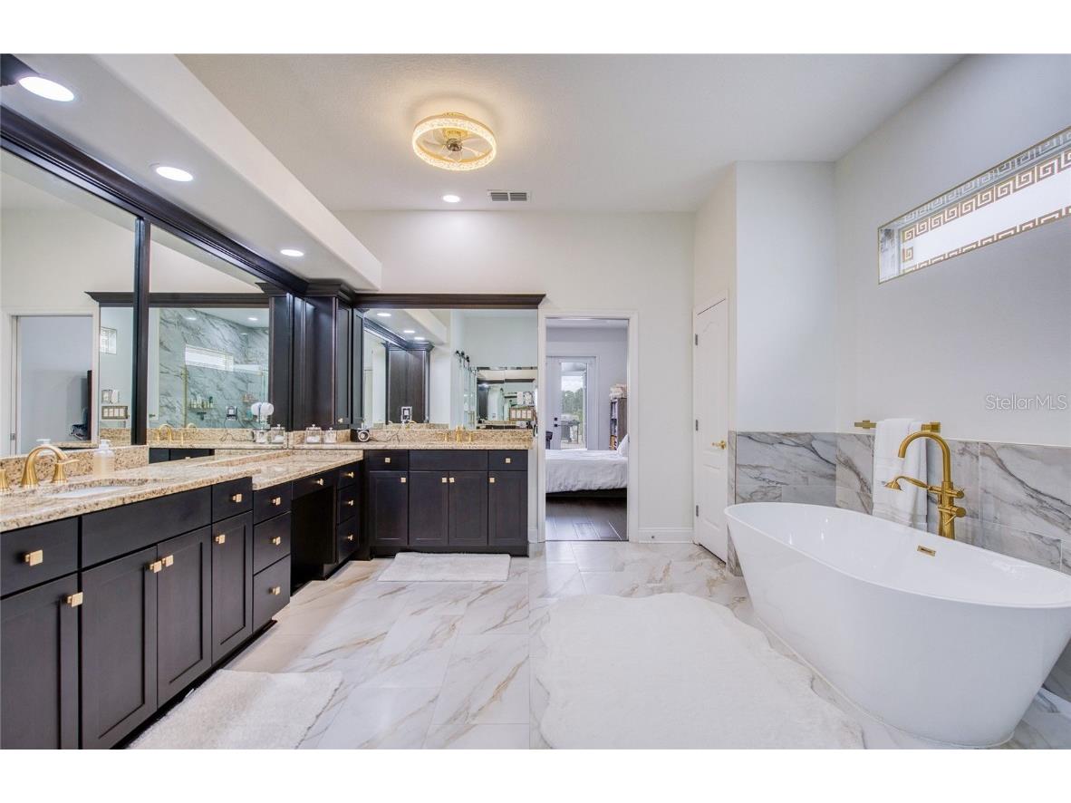 1312 Wyndham Lakes Drive Odessa FL 33556 - LAKE ANN TB8421618 image74