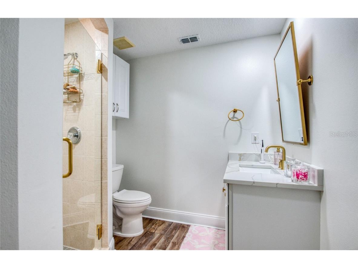 1312 Wyndham Lakes Drive Odessa FL 33556 - LAKE ANN TB8421618 image80