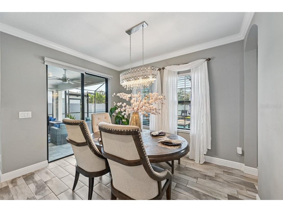 13120 Foxtail Fern Drive Riverview FL 33579 TB8431581 image10