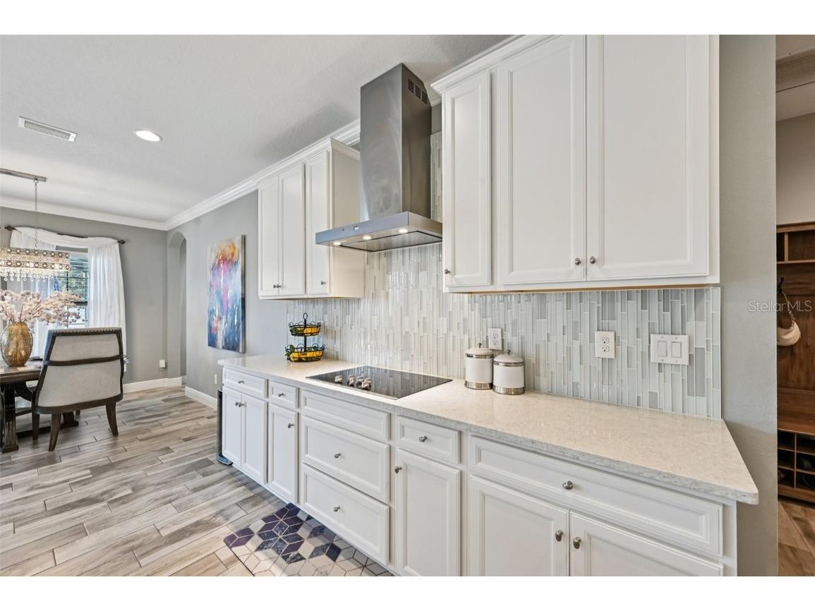 13120 Foxtail Fern Drive Riverview FL 33579 TB8431581 image15