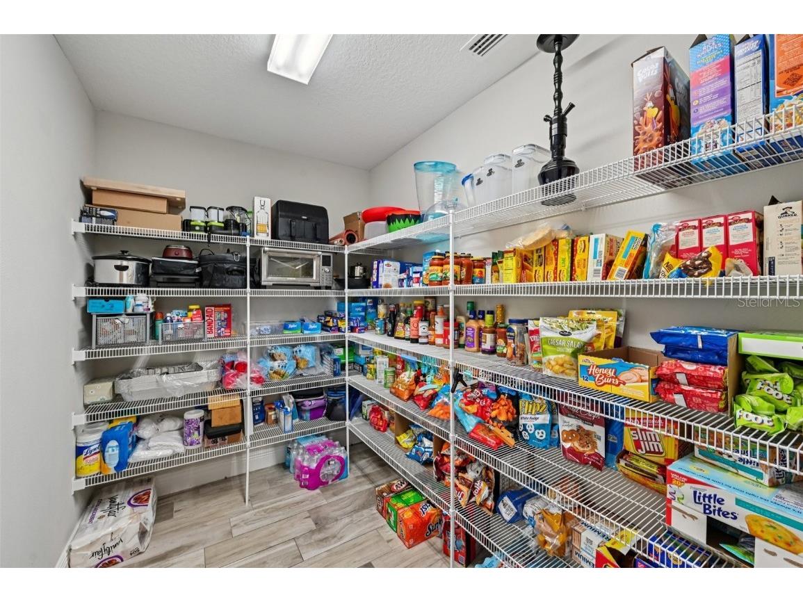 13120 Foxtail Fern Drive Riverview FL 33579 TB8431581 image17