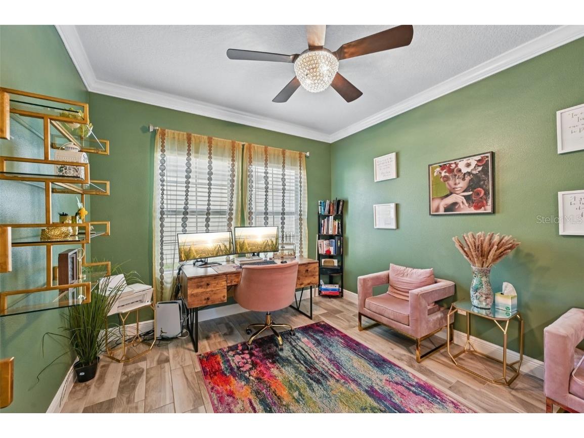 13120 Foxtail Fern Drive Riverview FL 33579 TB8431581 image20