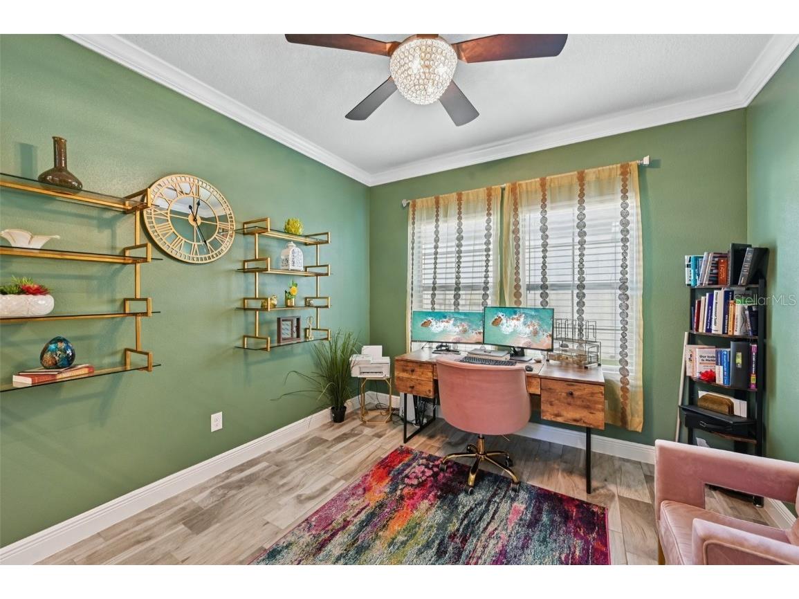 13120 Foxtail Fern Drive Riverview FL 33579 TB8431581 image21