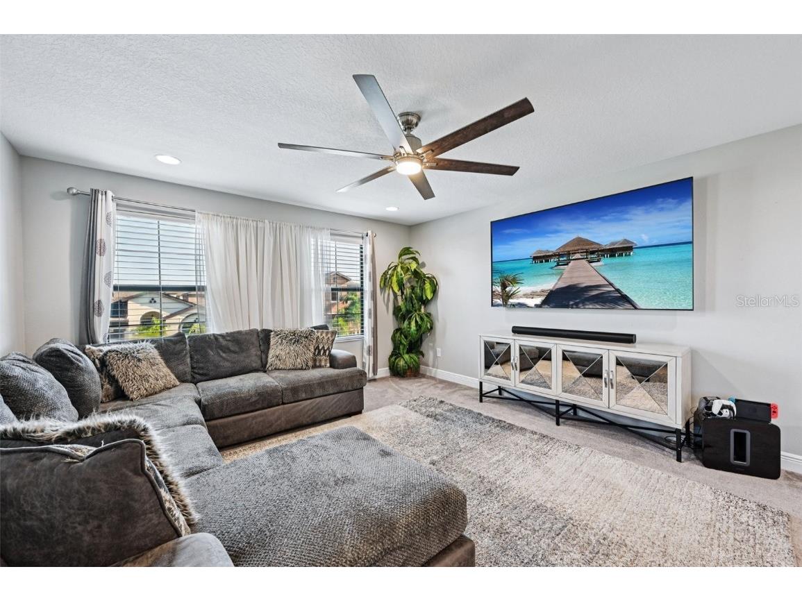 13120 Foxtail Fern Drive Riverview FL 33579 TB8431581 image28