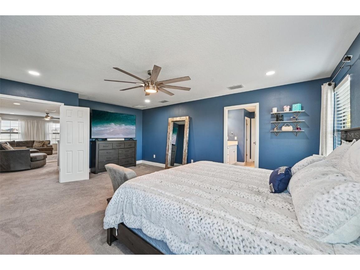 13120 Foxtail Fern Drive Riverview FL 33579 TB8431581 image33