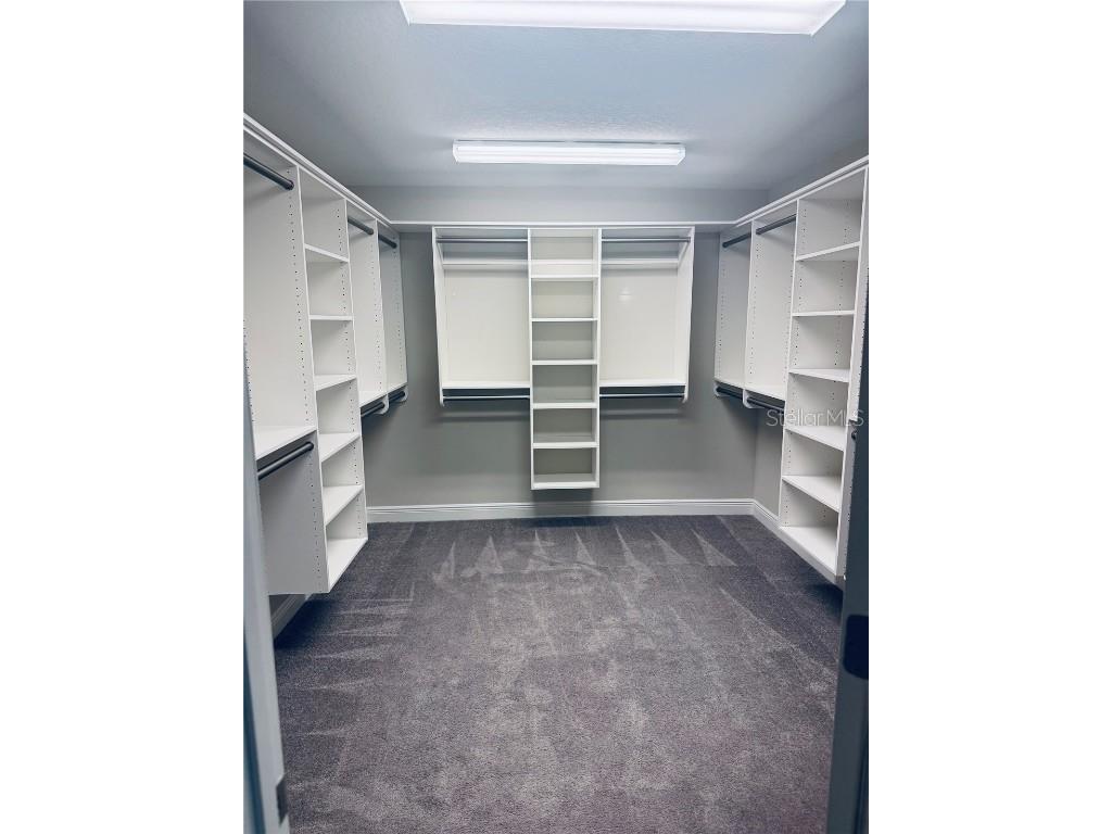 13120 Foxtail Fern Drive Riverview FL 33579 TB8431581 image39