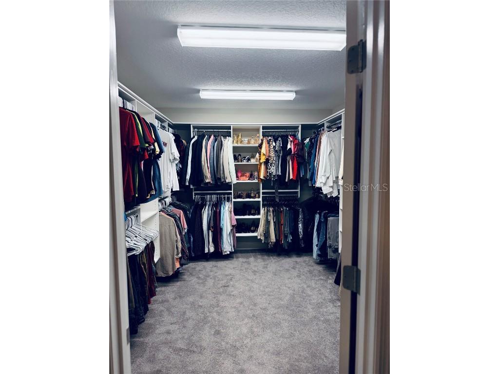 13120 Foxtail Fern Drive Riverview FL 33579 TB8431581 image40