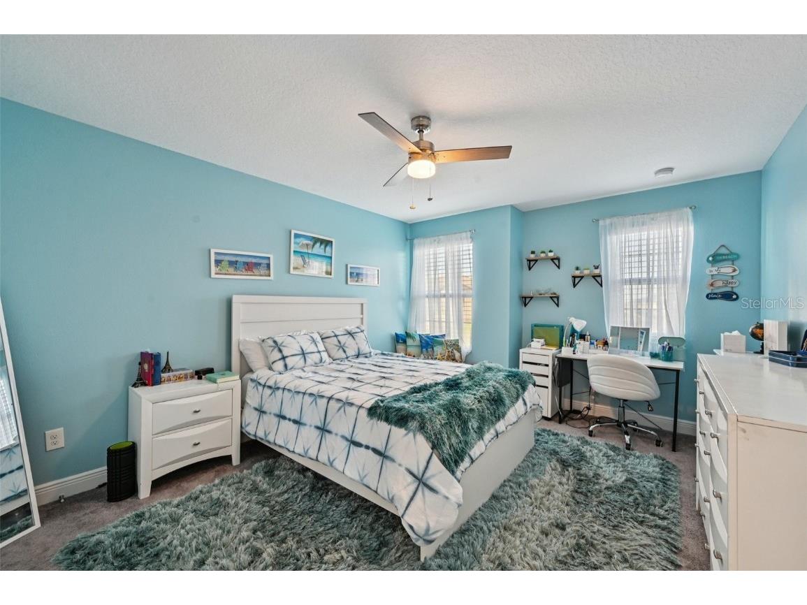 13120 Foxtail Fern Drive Riverview FL 33579 TB8431581 image42