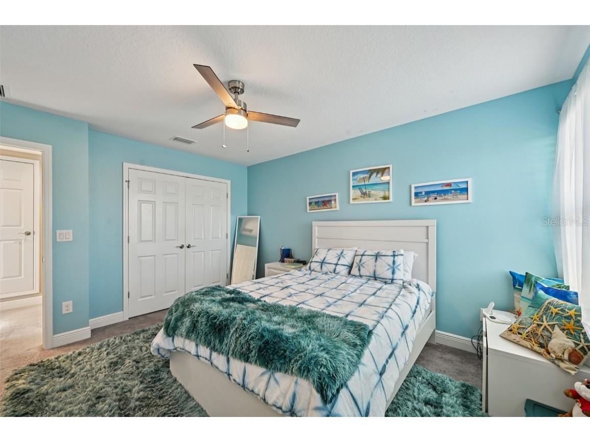 13120 Foxtail Fern Drive Riverview FL 33579 TB8431581 image44