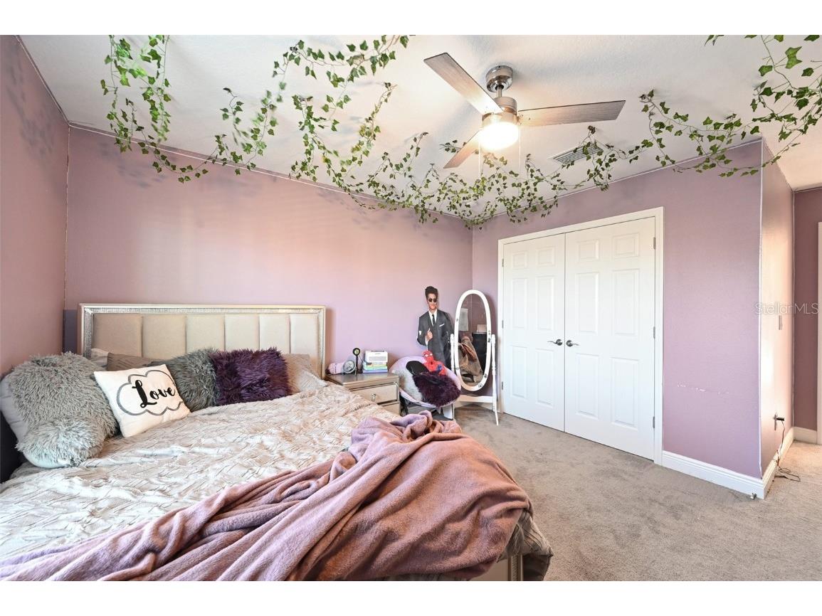 13120 Foxtail Fern Drive Riverview FL 33579 TB8431581 image49