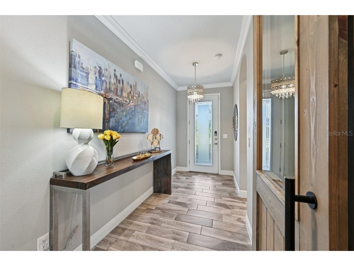 13120 Foxtail Fern Drive Riverview FL 33579 TB8431581 image5