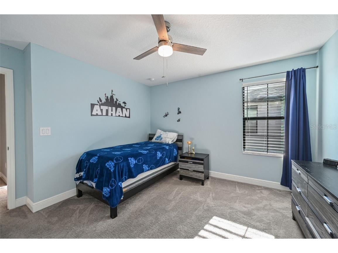 13120 Foxtail Fern Drive Riverview FL 33579 TB8431581 image51