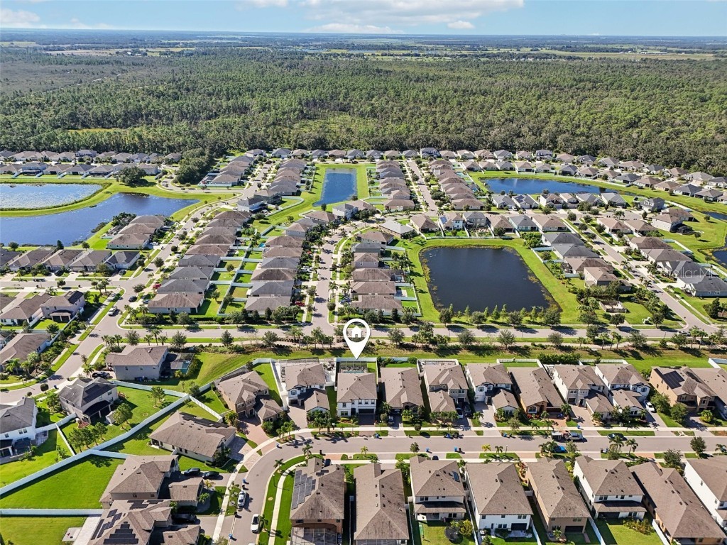 13120 Foxtail Fern Drive Riverview FL 33579 TB8431581 image65