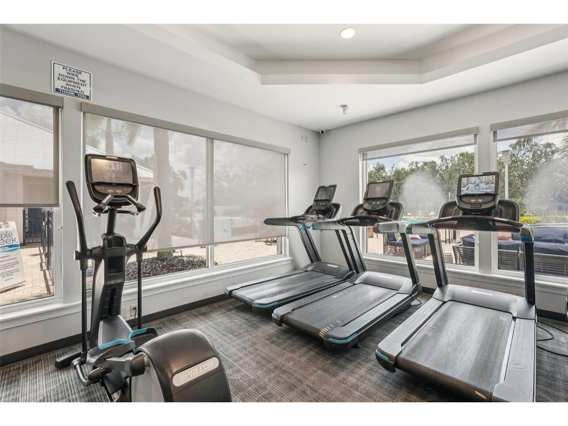 13120 Foxtail Fern Drive Riverview FL 33579 TB8431581 image69