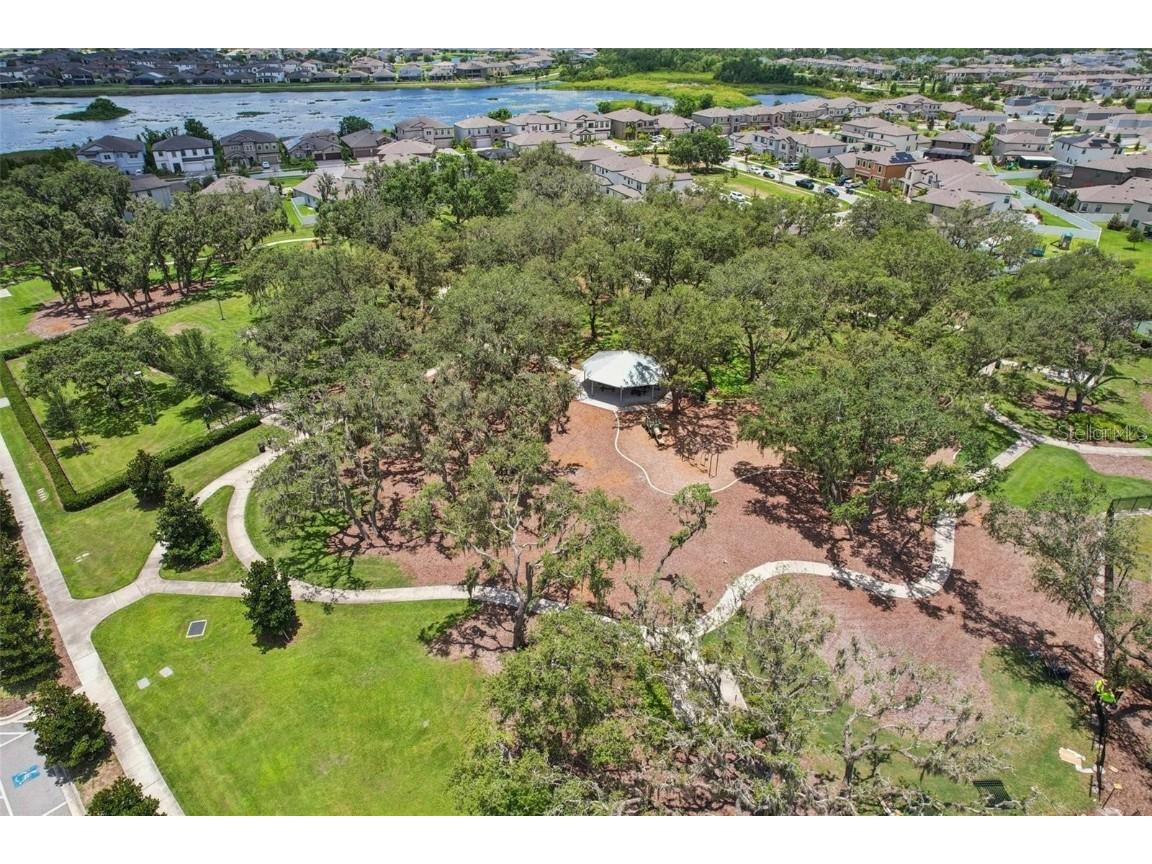 13120 Foxtail Fern Drive Riverview FL 33579 TB8431581 image71