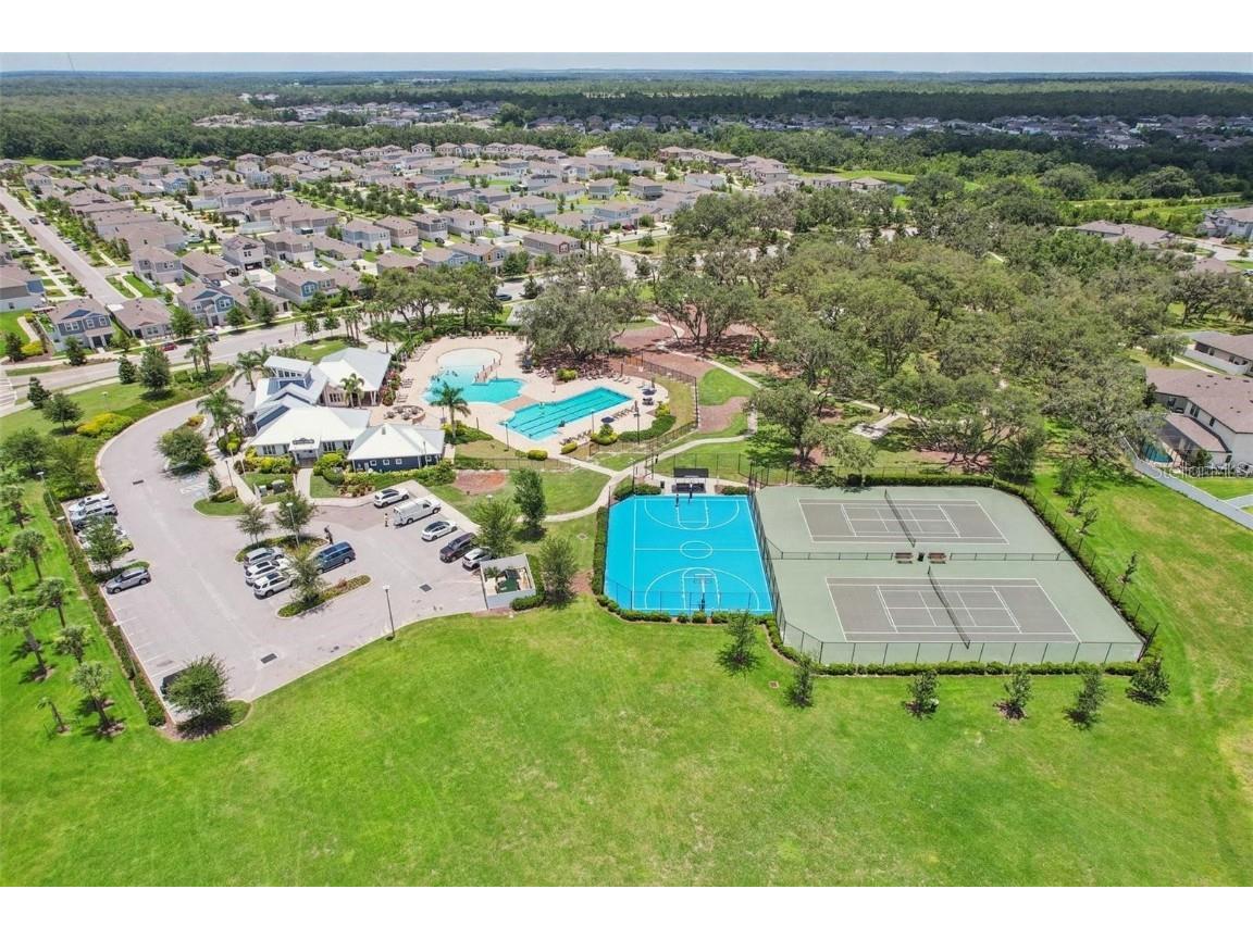 13120 Foxtail Fern Drive Riverview FL 33579 TB8431581 image73